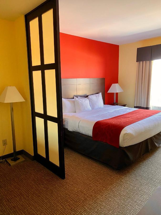 Hotel Comfort Manchester Meadows Area