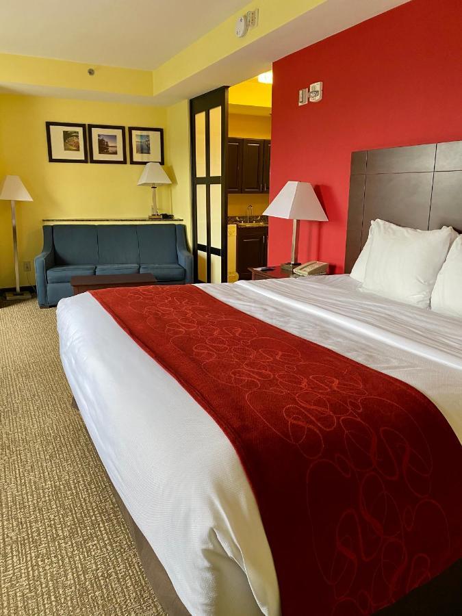 Hotel Comfort Manchester Meadows Area Rock Hill